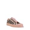 Imagen de Star Master Leopard/Rose